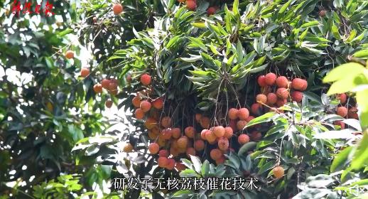 广西早新闻,广西新闻早知道最新