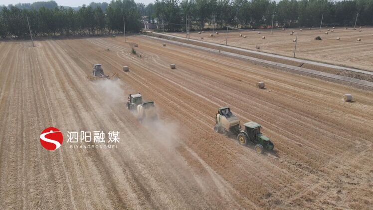 澶氭帾骞朵妇绉哥鎵撳寘,娉楅槼绉哥