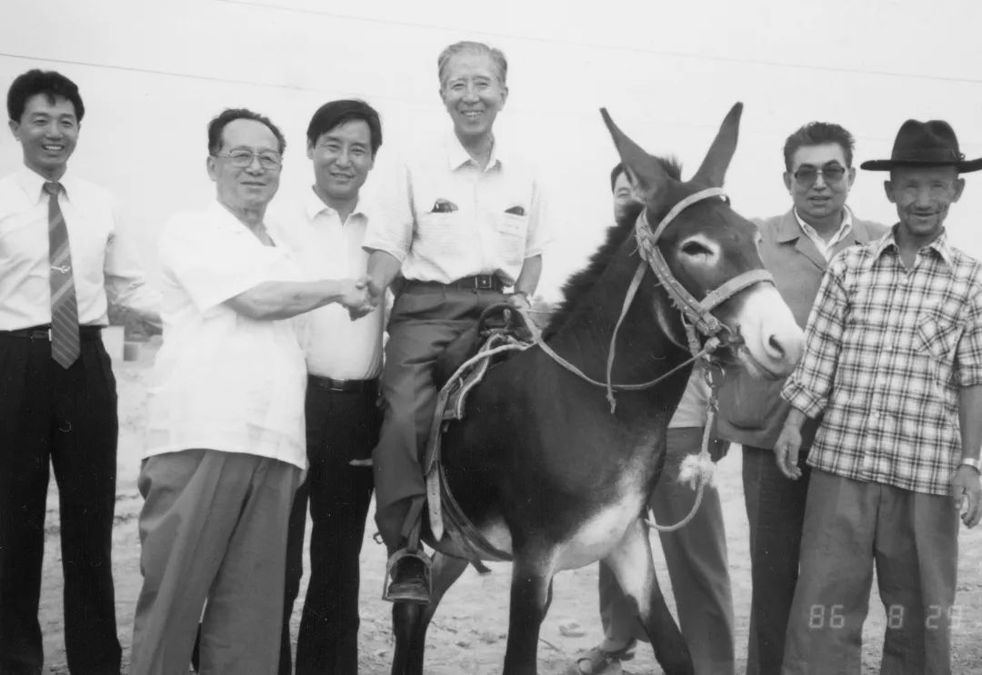 看展览感受变迁参观感想,参观看今朝展厅后的感想