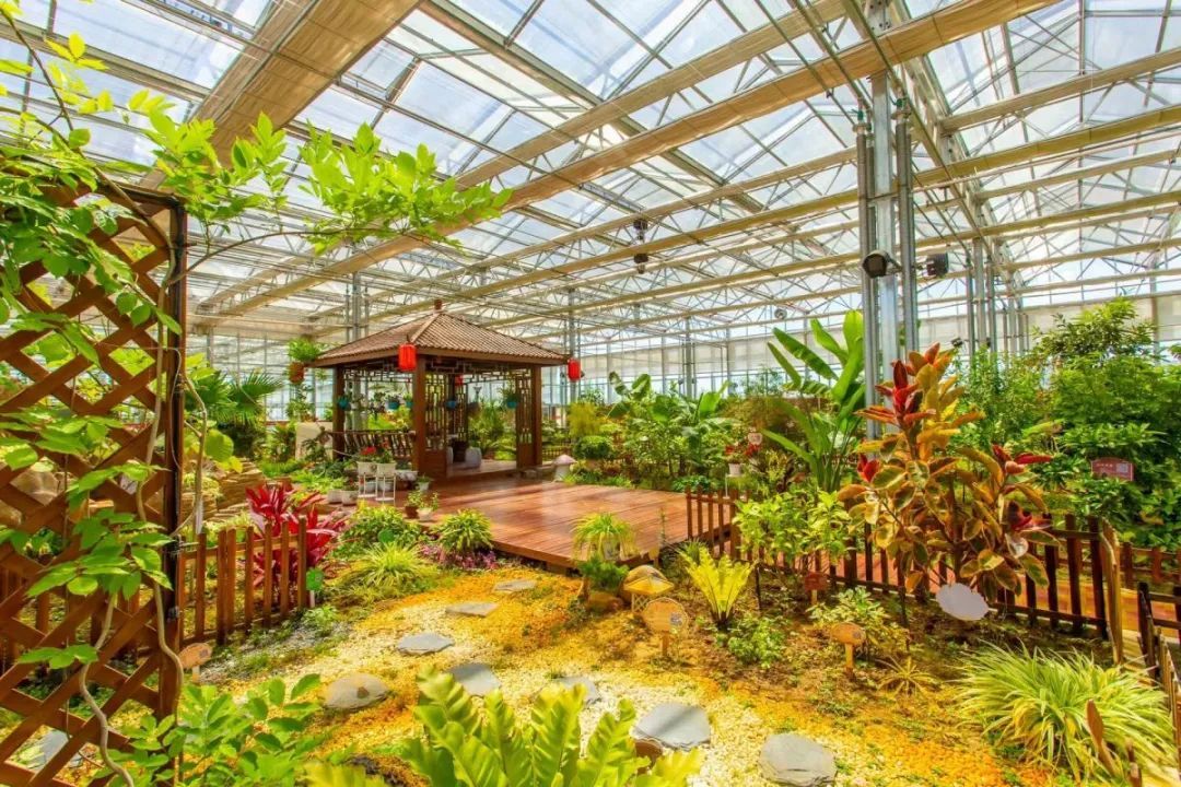 遇见三中邂逅美好