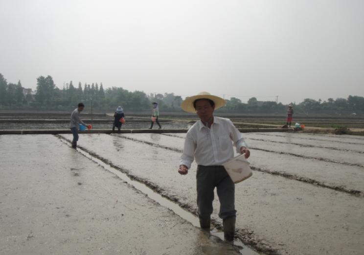 从吃饱到吃好再到吃出健康,从吃饱到吃好的东西