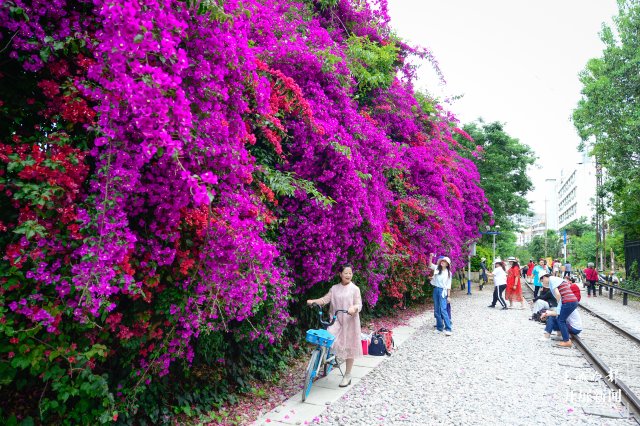 昆明的风景真的是美极了,感受云南昆明一道美丽的风景线