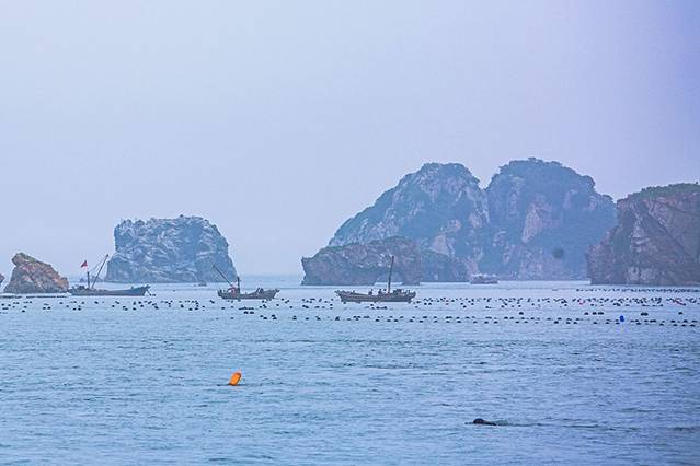 大连海岛旅游推荐,大连最美的海岛是哪里
