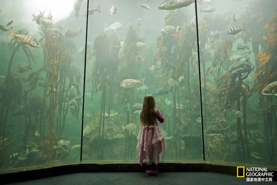 电影诞生以来最伟大的30部作品,最伟大的作品详解