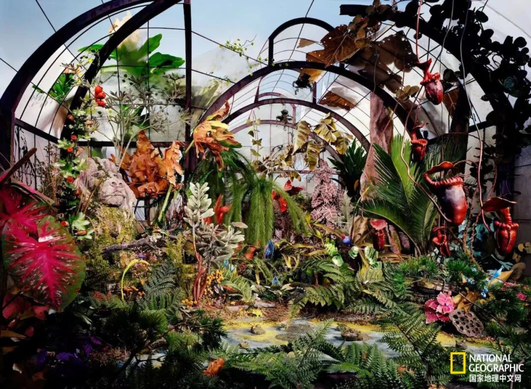 电影诞生以来最伟大的30部作品,最伟大的作品详解