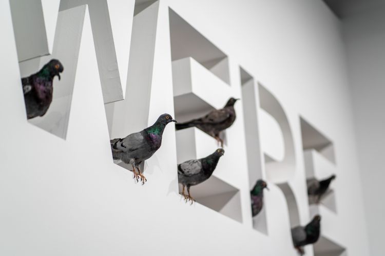 一根香蕉价值15万美金,莫瑞吉奥卡特兰香蕉