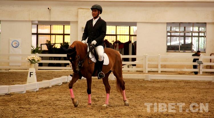 藏马运动会,藏北赛马节比赛视频