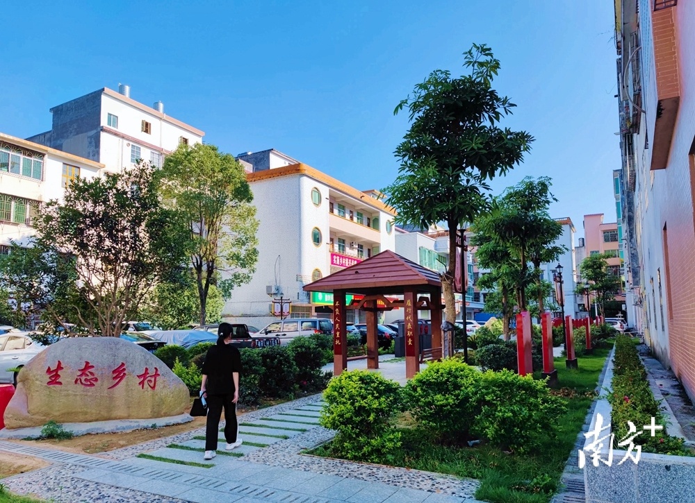 帮教育、强基建、美环境｜工作队助力寨岗乡村振兴