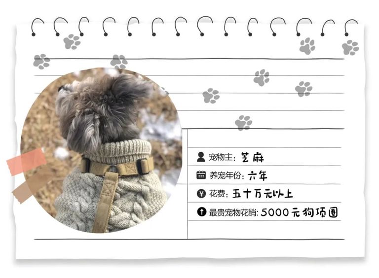 给宠物买奢侈品,给狗买奢侈品