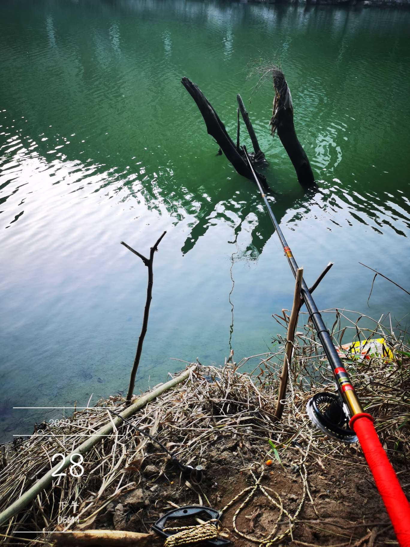 「七月鱼获」骗最憨的巨草！上最憨的洋当