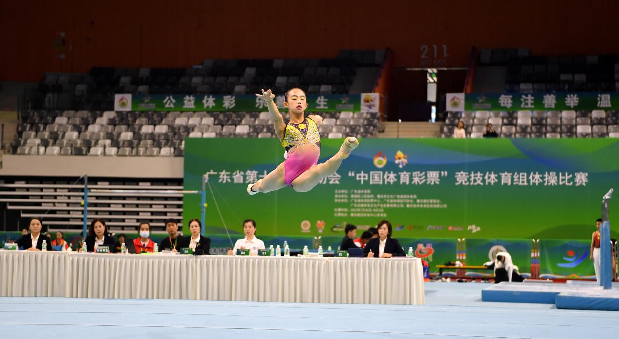广东省运会群众组乒乓球比赛,广东省省运会决赛
