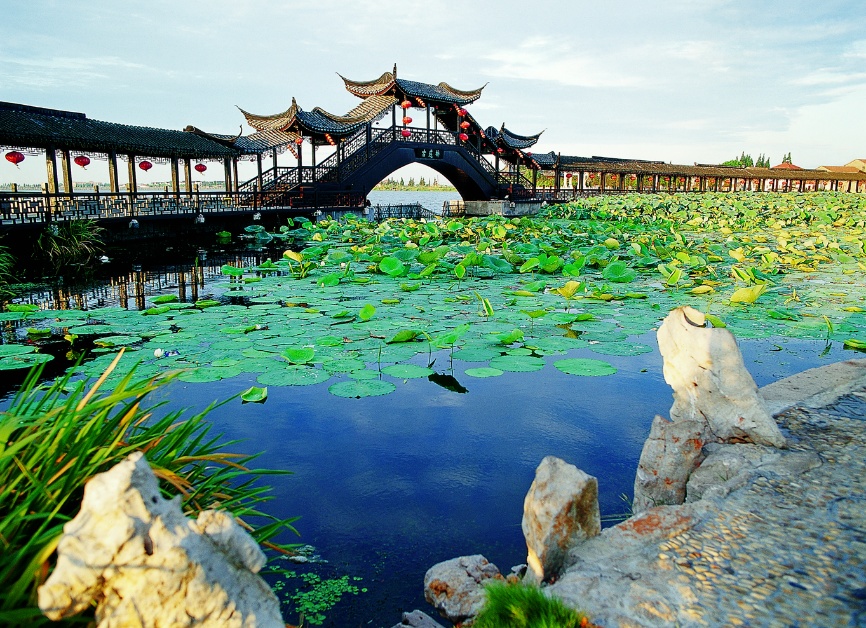 苏州赏花旅游攻略一日游,苏州花海旅游攻略