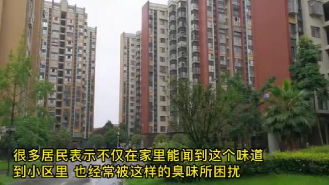 观观调查丨异味呛鼻的“田园花篱”