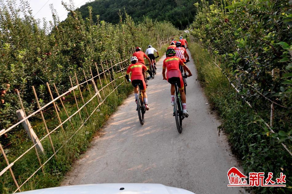 麦积区自行车训练俱乐部,天水体校武术训练照片