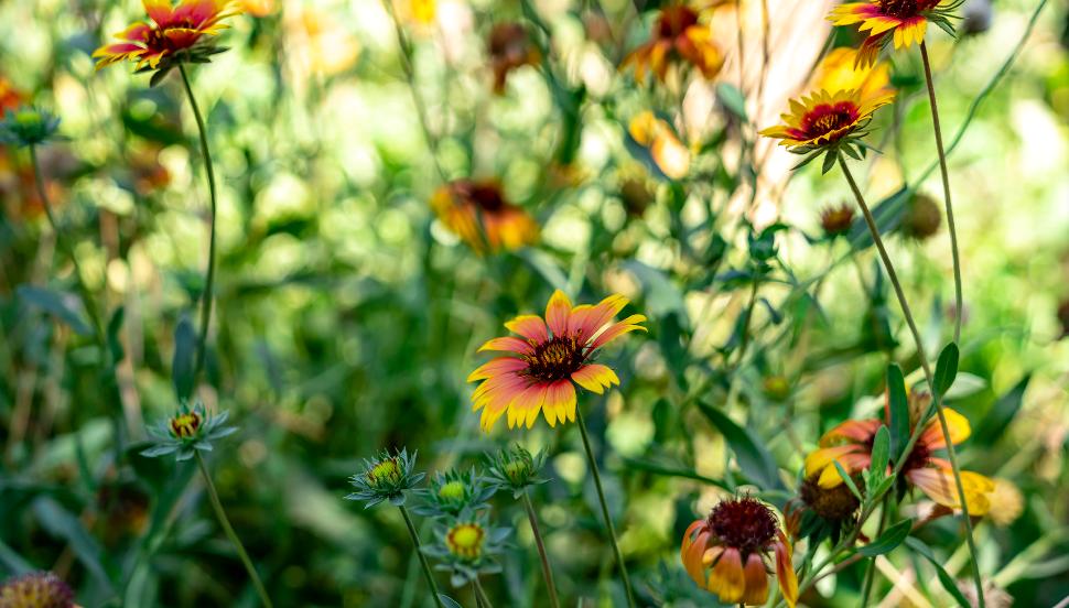 在九月要干什么工作好,九月最想做的事情