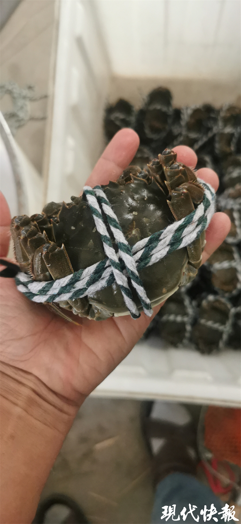 大闸蟹中秋节以后价格会低嘛,大闸蟹中秋价格