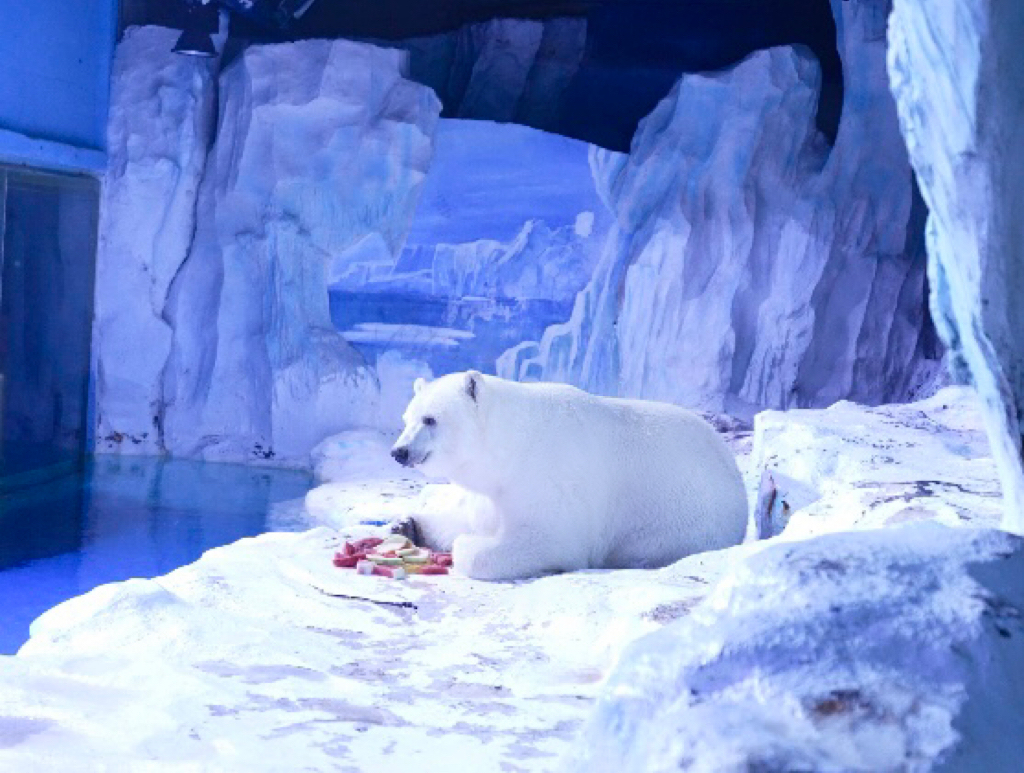 国庆中秋黄金周旅游推荐,国庆节性价比最高的旅游地方