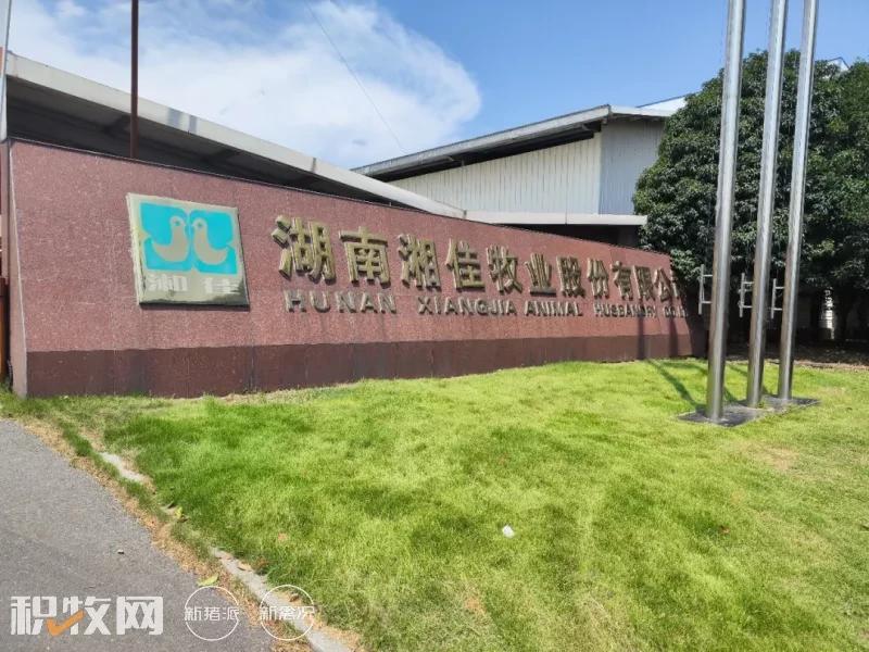 湘佳股份目标,湘佳股份养殖模式