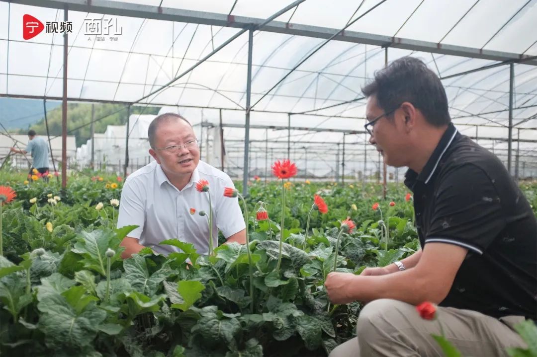 寿宁县大安乡银山花田,寿宁亭溪银山花田景区