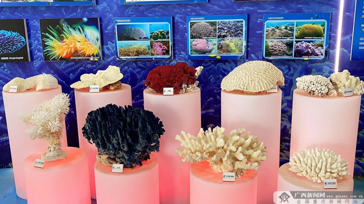 北海涠洲岛的攻略怎么做,北海涠洲岛怎么避坑