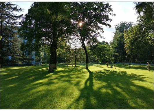 山东十大最美校园,山东最美校园大学