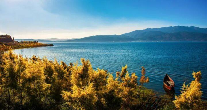 昆明最美的秋天,别眨眼带你看花海