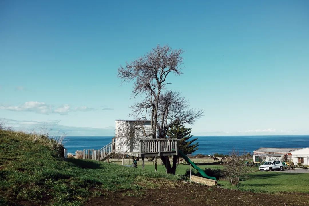 在澳洲摘葡萄的女孩,22岁女生澳洲打工度假