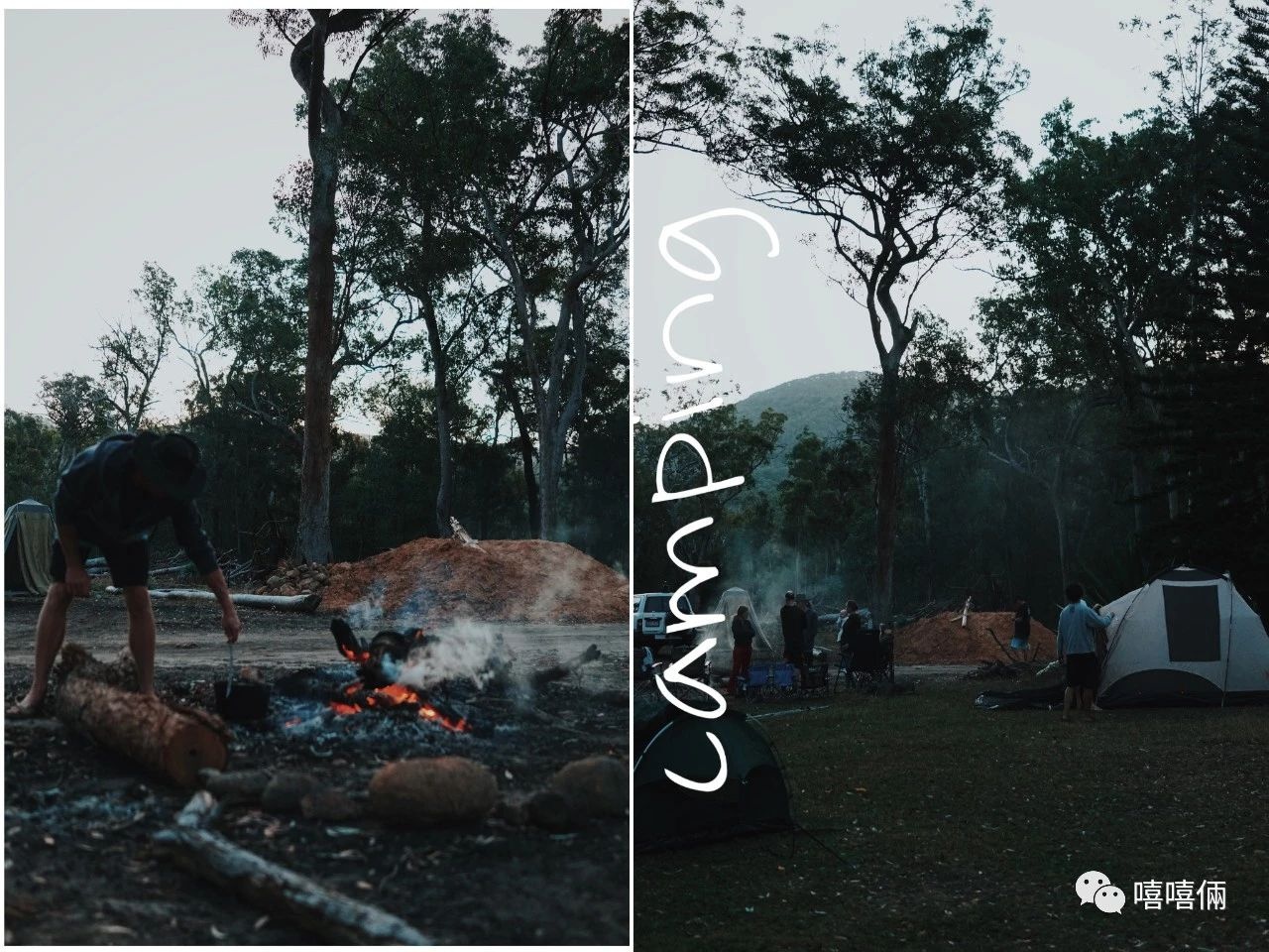 在澳洲摘葡萄的女孩,22岁女生澳洲打工度假