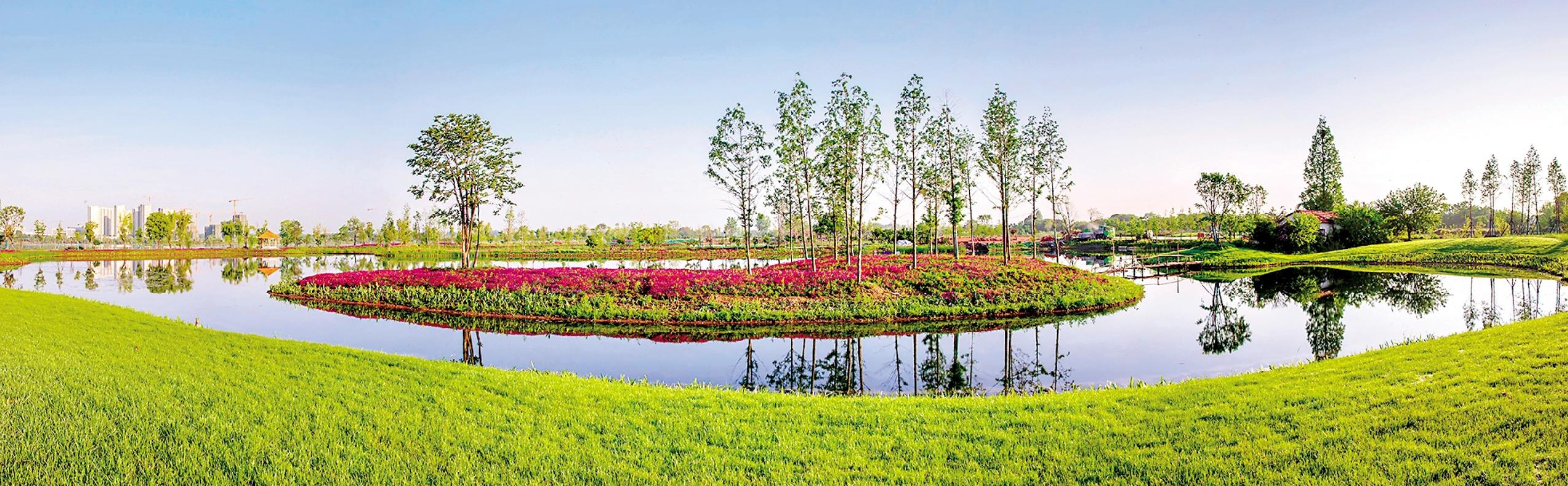 让城市在山水之间生长,让城市更美丽绘画