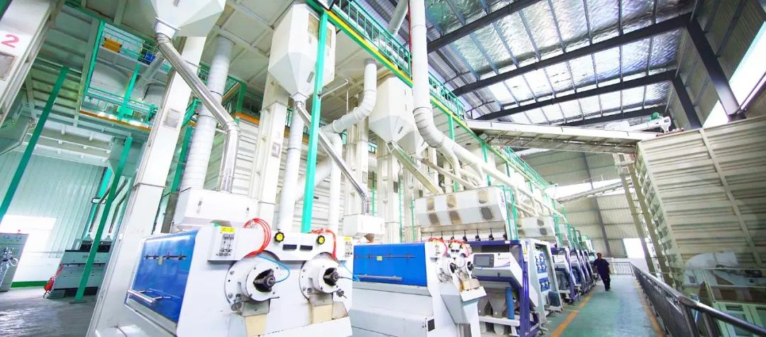 非凡十年乡村变化,非凡十年非凡成就之农业篇