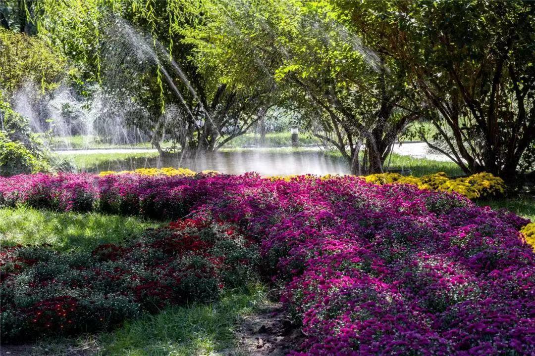 丰台秋天美景,丰台附近哪里的秋天景色最美