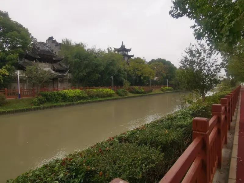 完成进博会服务保障工作,提升进博会服务保障