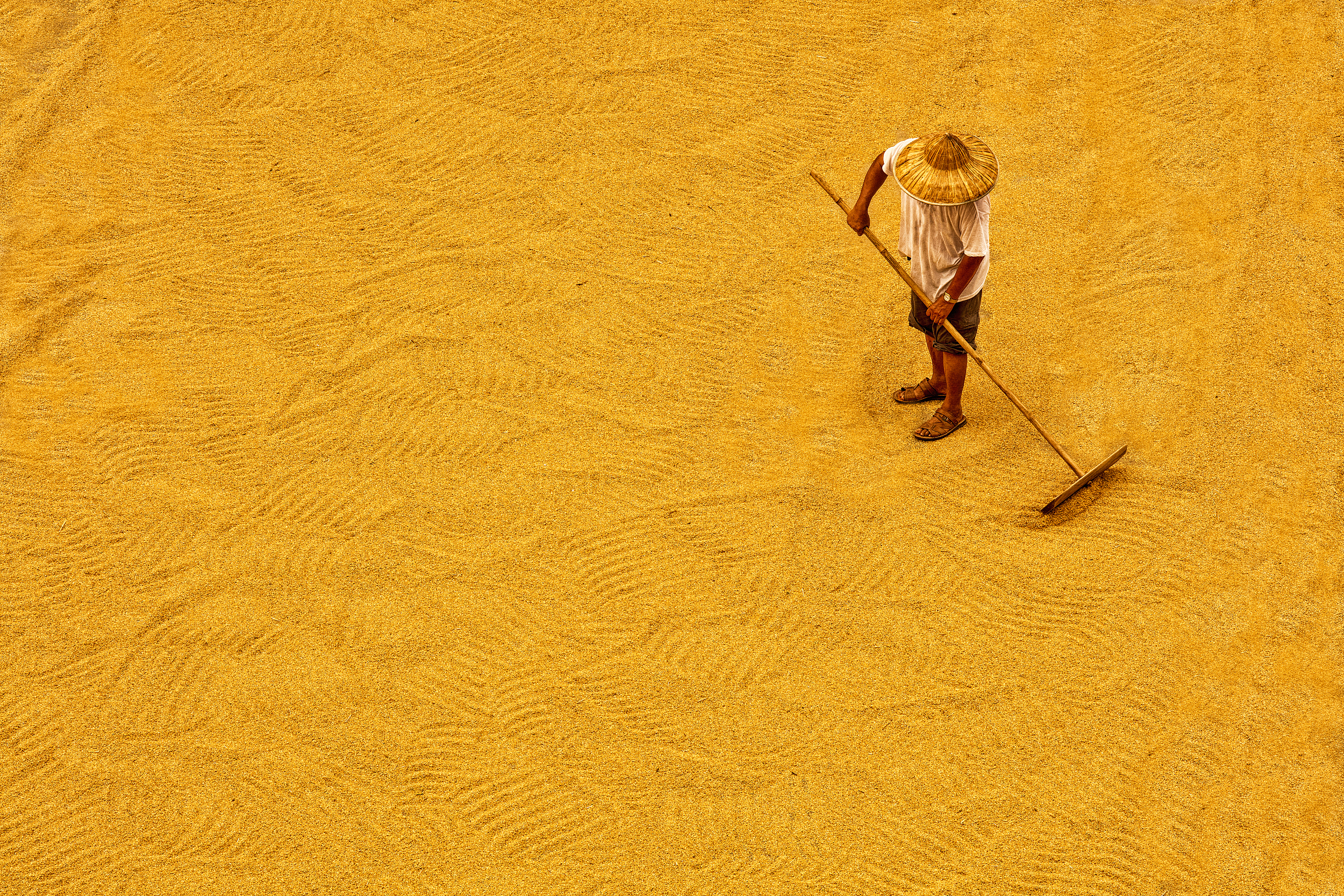 新勤俭主义,新节俭主义