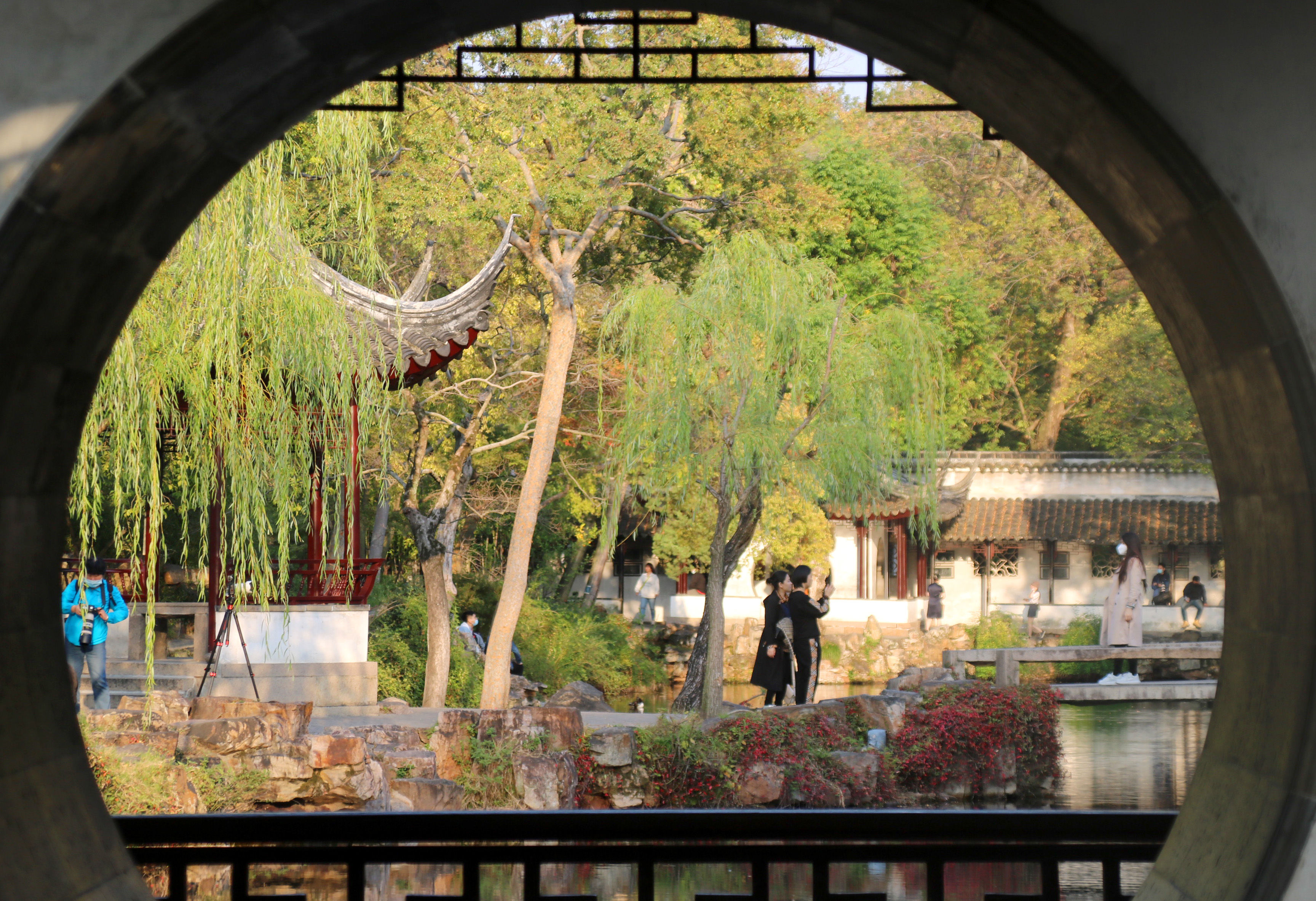 拙政园秋色毕致中,苏州秋色拙政园美景