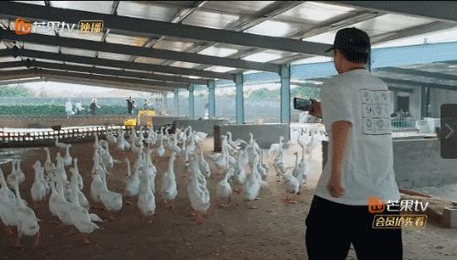 人是越来越红了，精神越来越不“正常”？