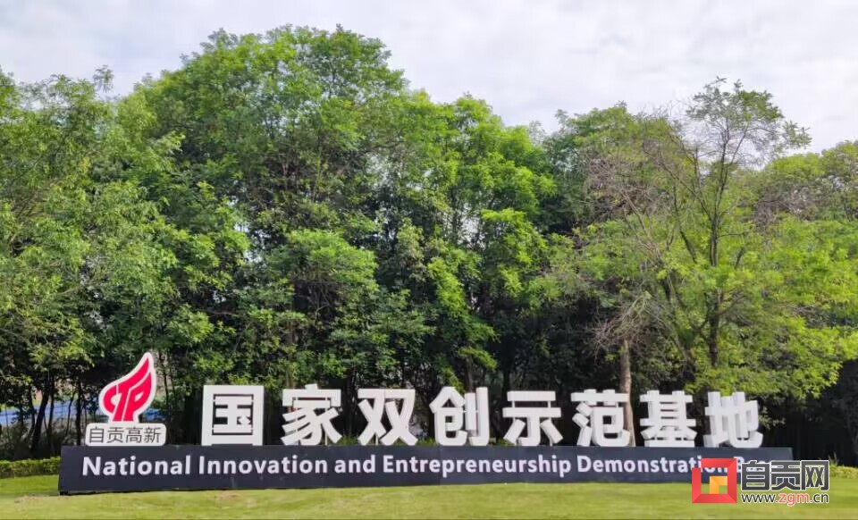 自贡高质量跨越发展,创新之花