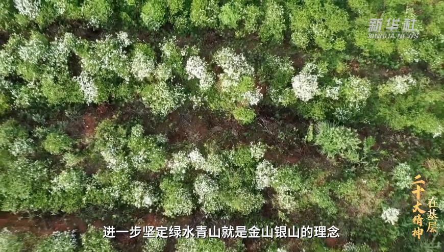 宁乡喻家坳乡栀子小镇,宁乡移动助力栀子小镇