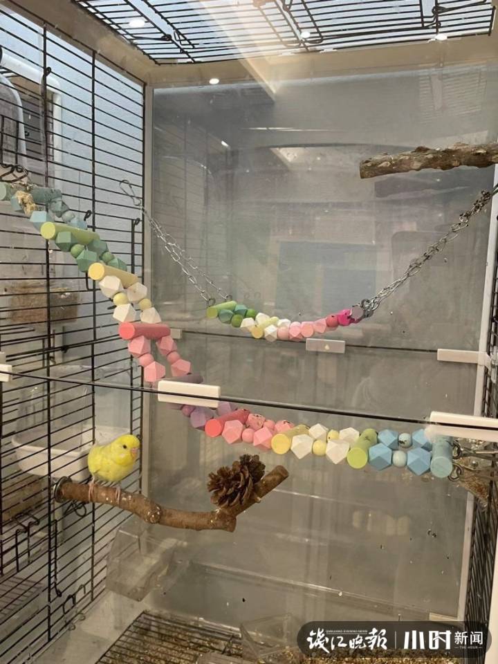 一只兔子50元40只,一只兔子500元