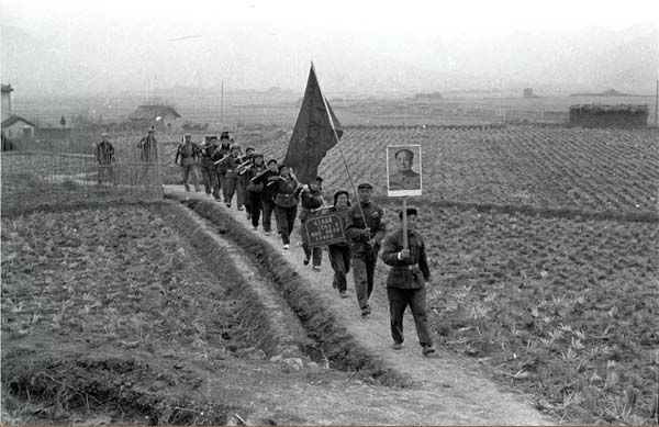 冯沙驼散文,冯沙驼简介