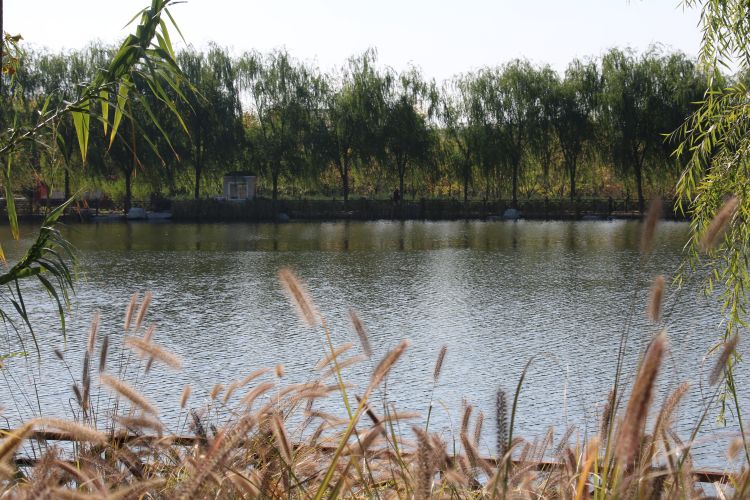 高新区花山公园景区,西安高新区双创公园