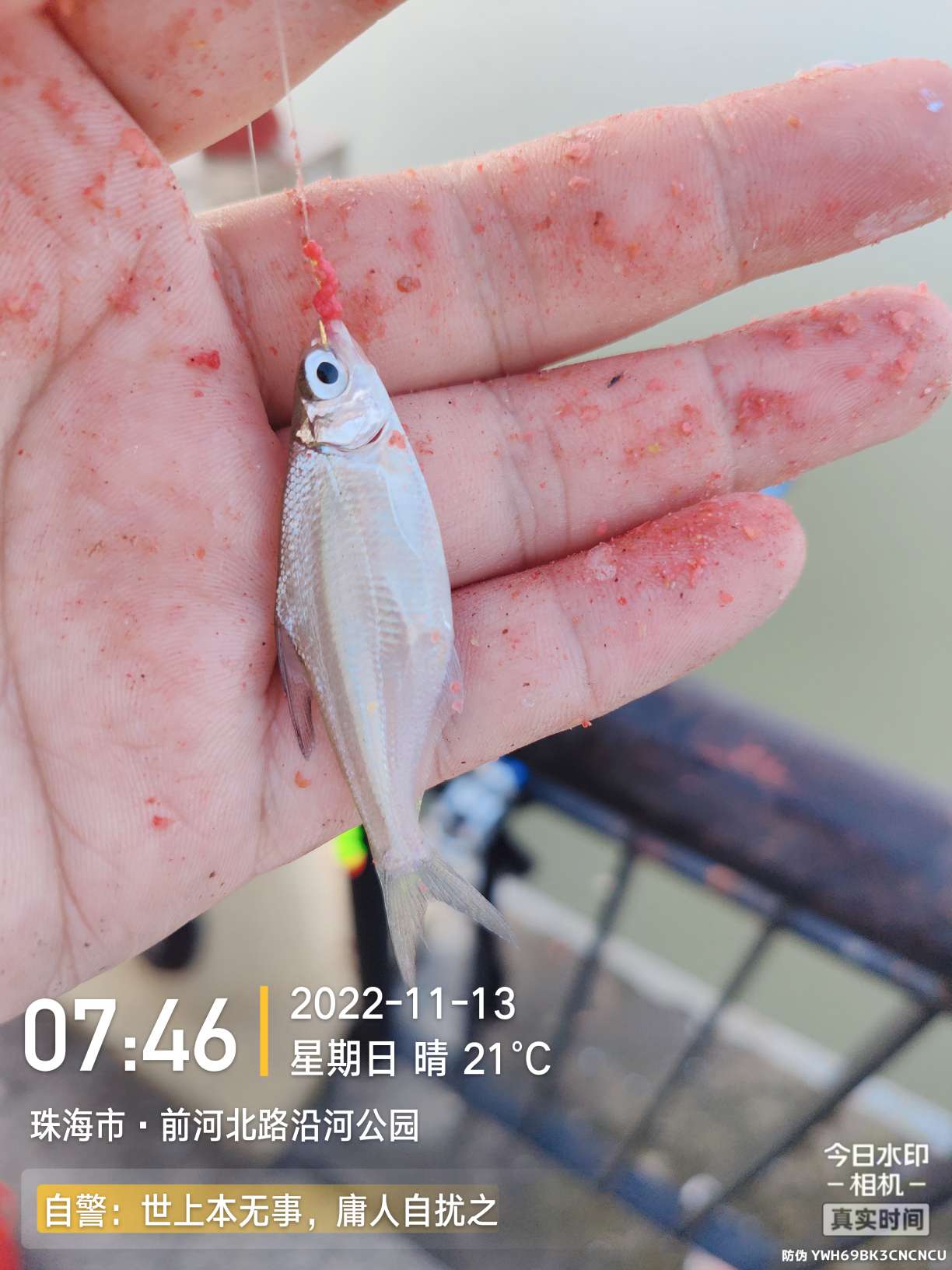 刷新了对钓鱼的认知,钓鱼的十个思维方法