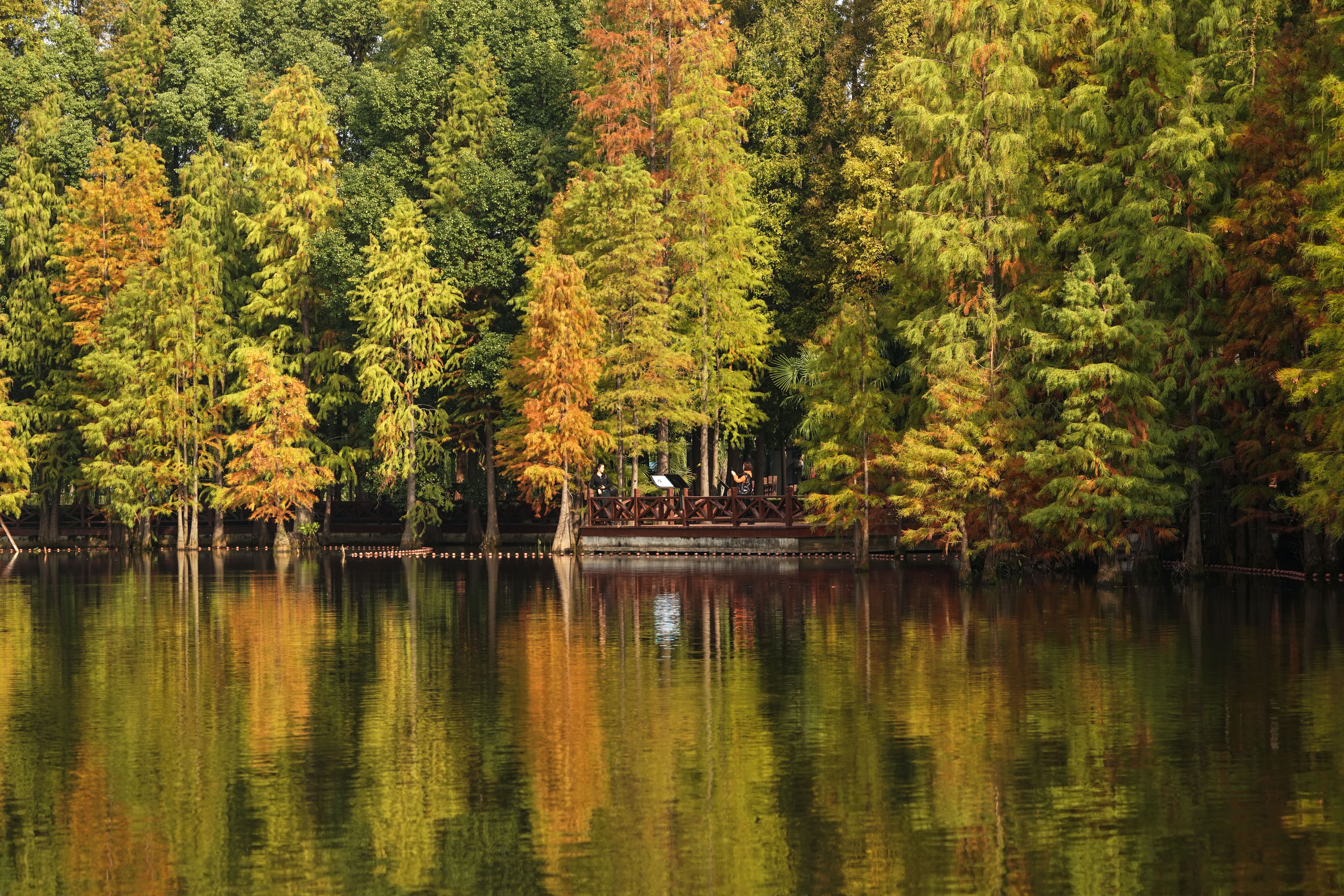 国际湿地城市常熟,常熟被评为国际湿地城市