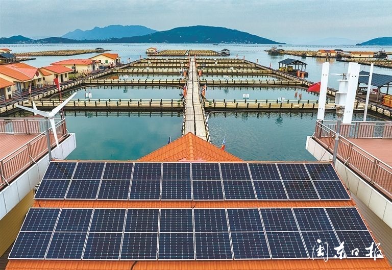 云游周宁,宁德海上田园公园