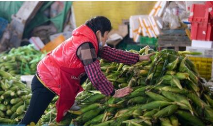 济南菜篮子直通车配送点,济南菜篮子配送