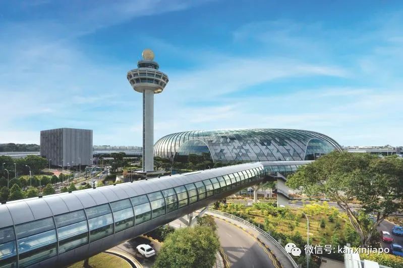 卡塔尔和新加坡哪个离中国最近,新加坡卡塔尔世界杯