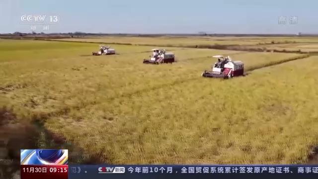 粮食全链条减损包括哪些环节,中国粮食生产取得重要成就