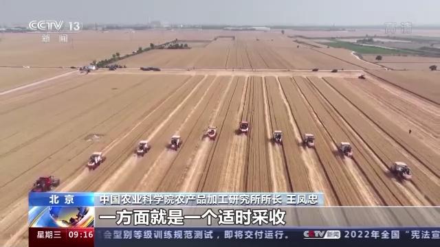 粮食全链条减损包括哪些环节,中国粮食生产取得重要成就