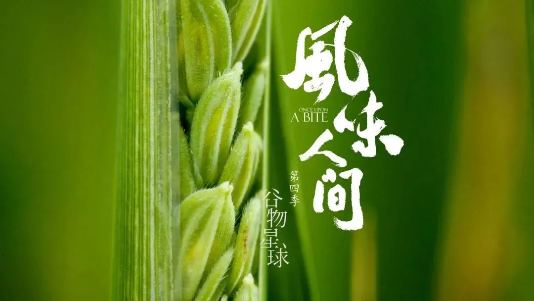 山东潍坊的面食,山东人的碳水