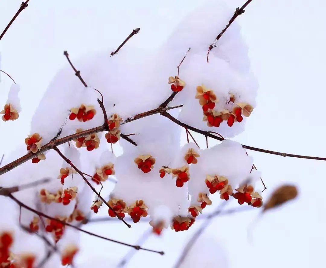 伊春嘉荫县城,伊春嘉荫火车
