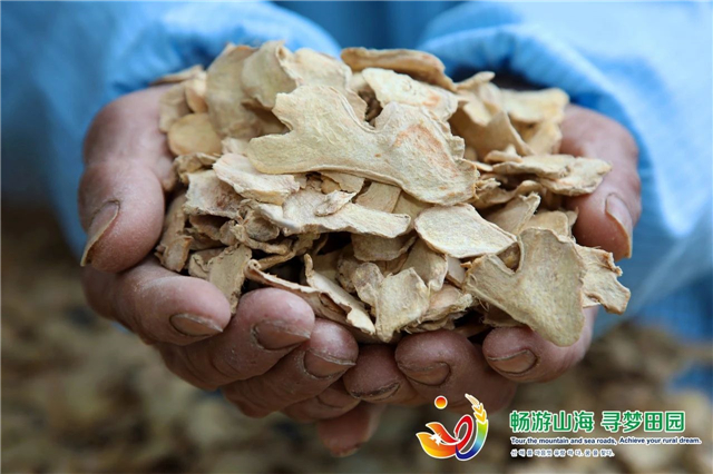 威海“姜”山如此多娇，引无数英雄竞折腰